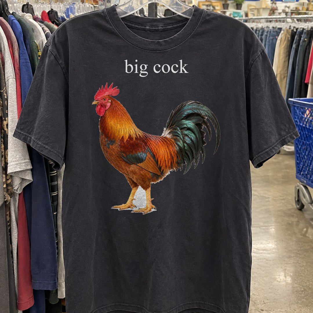 Big Cock Shirt on a thrift store rack
