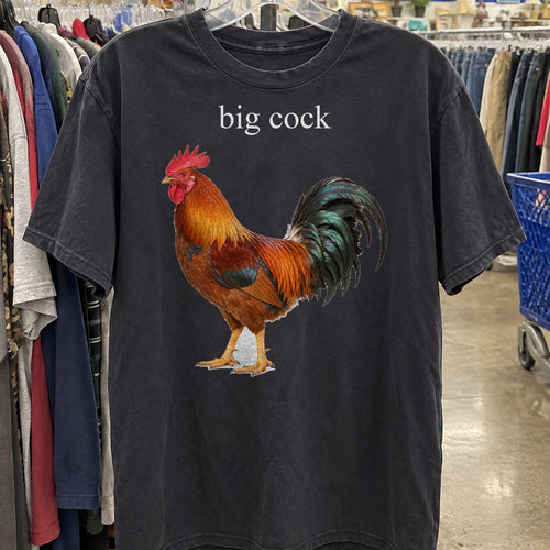 Big Cock Shirt on a thrift store rack