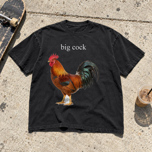 Big Cock Shirt laid flat on a city sidewalk