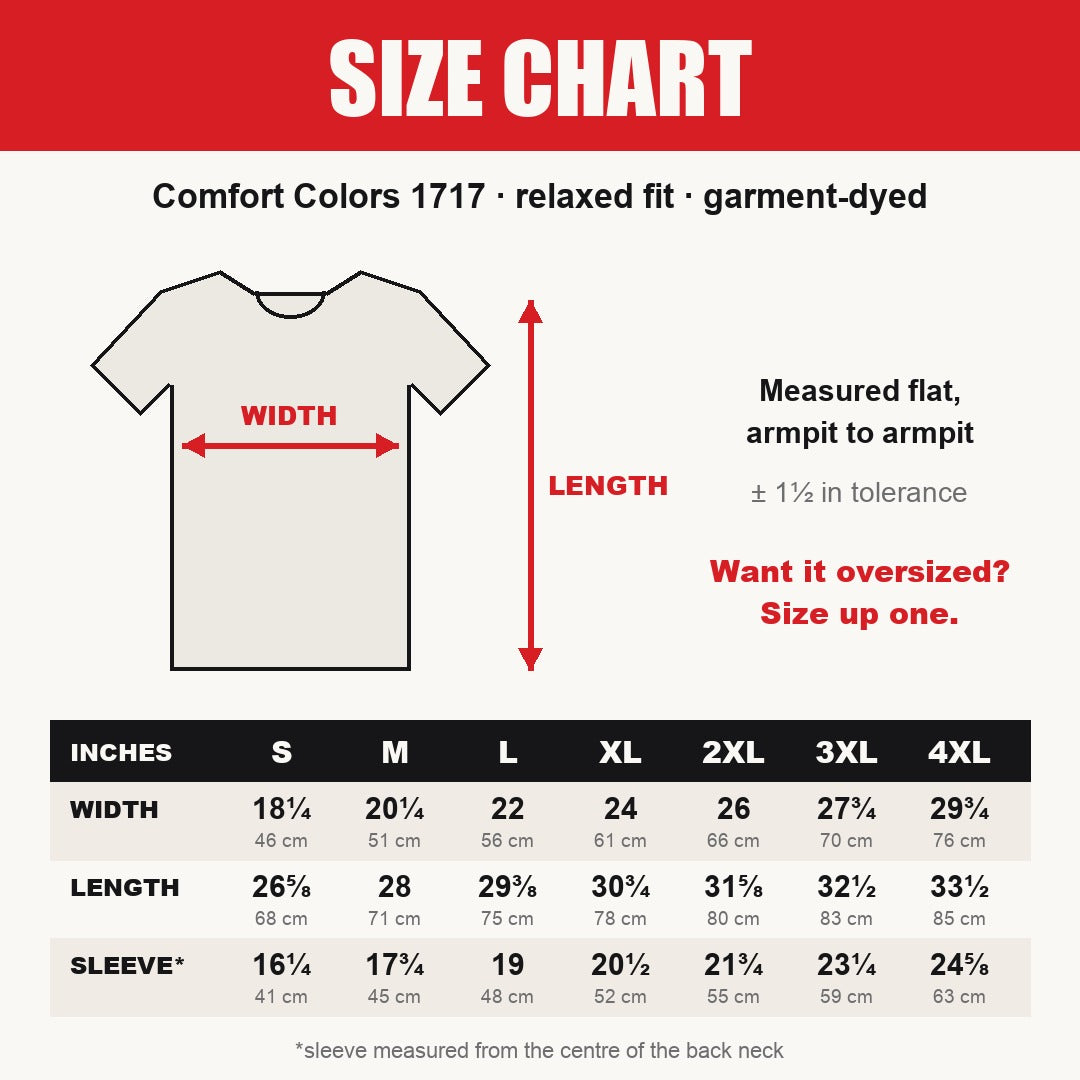 My Pronouns Are All In Shirt – Comfort Colors 1717 size chart
